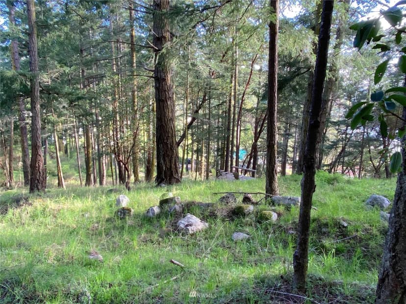 Property photo for 0 Afterglow Drive, San Juan Island photo 20