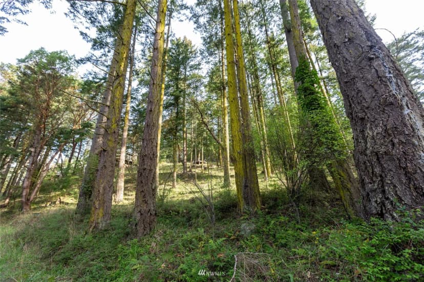 Property photo for 0 Afterglow Drive, San Juan Island photo 14