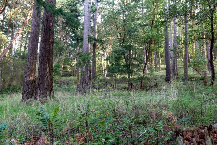 Property photo for 0 Afterglow Drive, San Juan Island photo 10