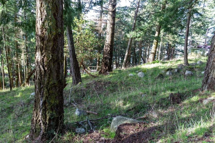 Property photo for 0 Afterglow Drive, San Juan Island photo 13