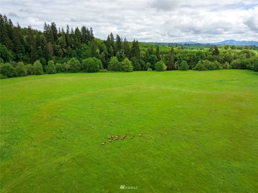 Property photo for 732 Satsop Road W, Montesano photo 28