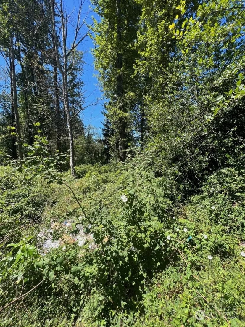 Property photo for 14000 Center Road, Everett photo 3