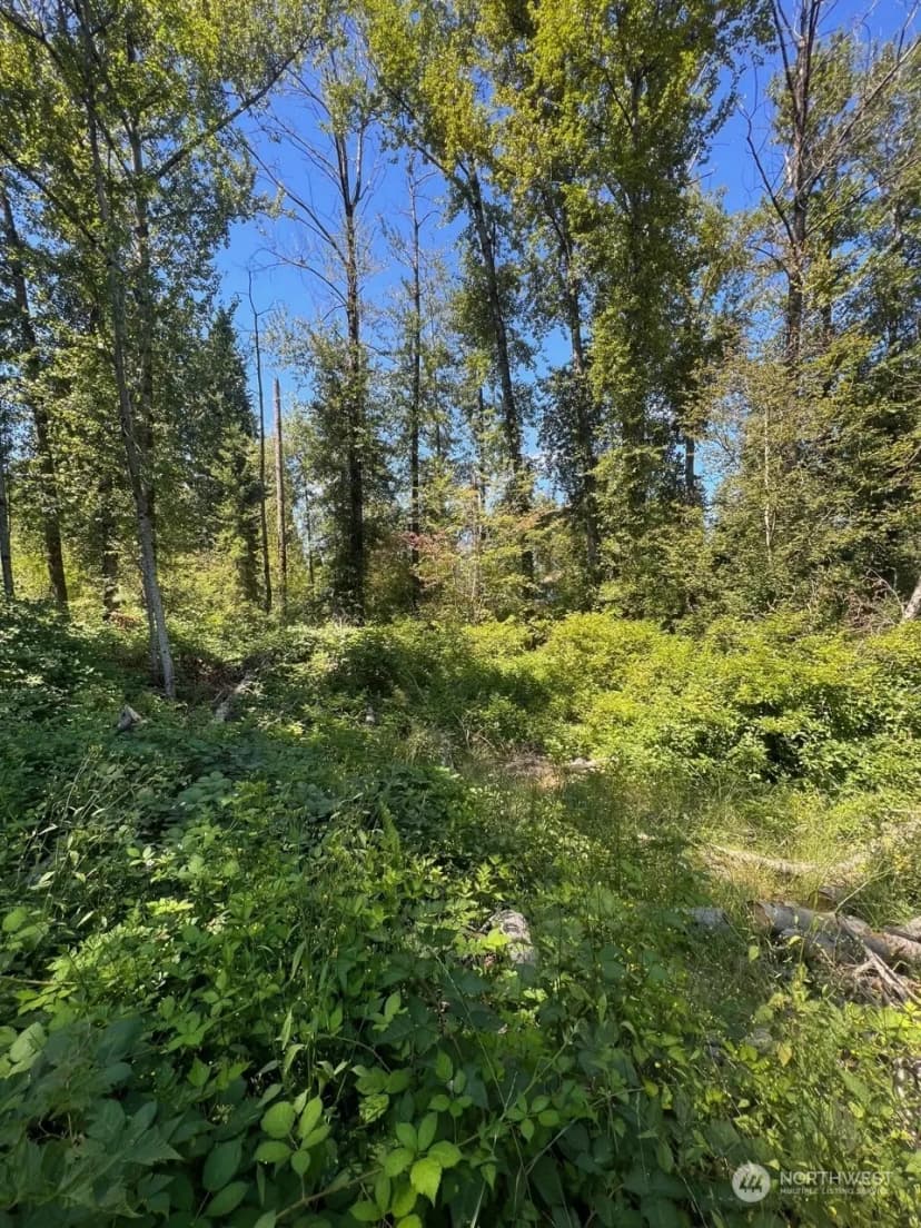 Property photo for 14000 Center Road, Everett photo 7