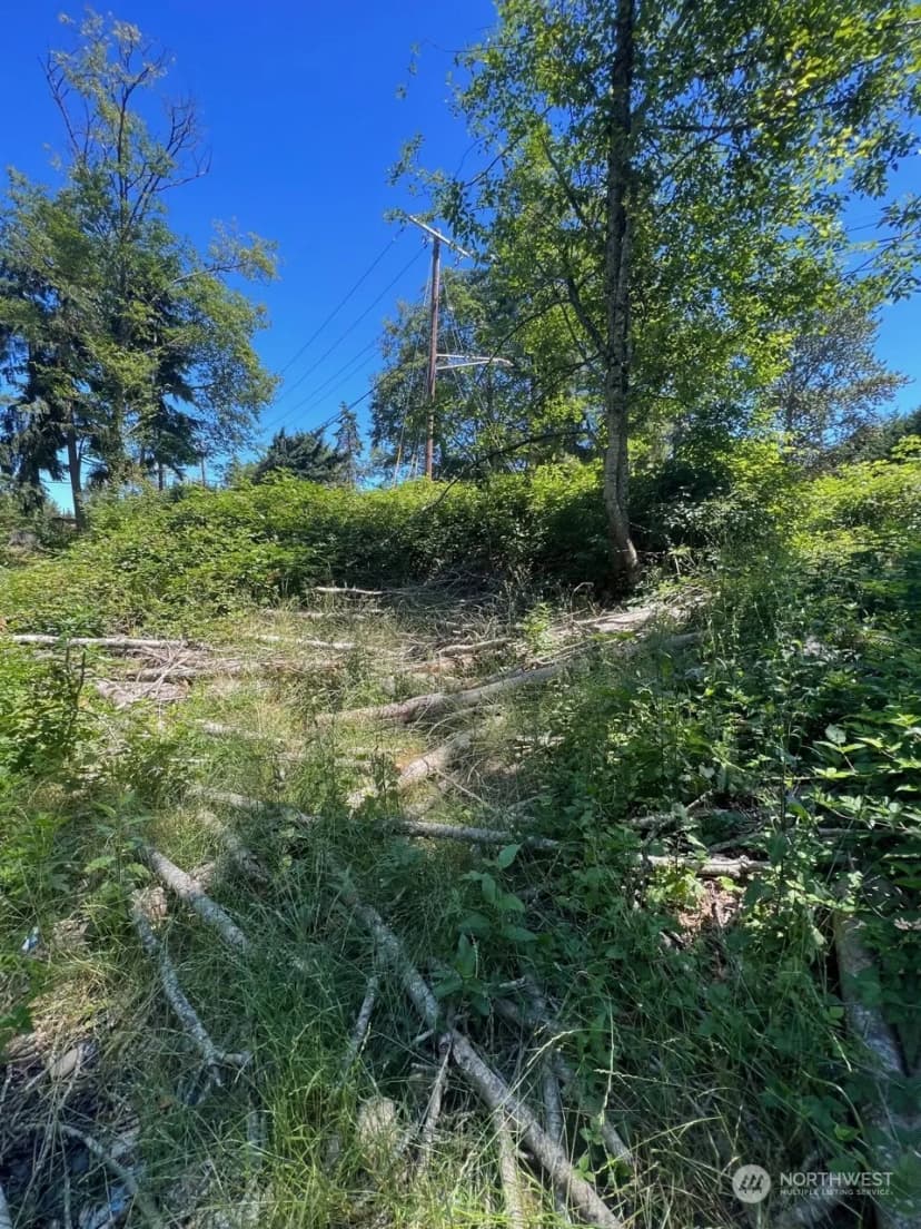Property photo for 14000 Center Road, Everett photo 10