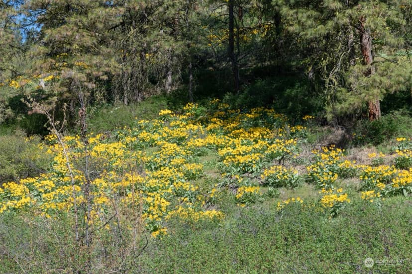 Property photo for 10690 Fox Road, Leavenworth photo 8