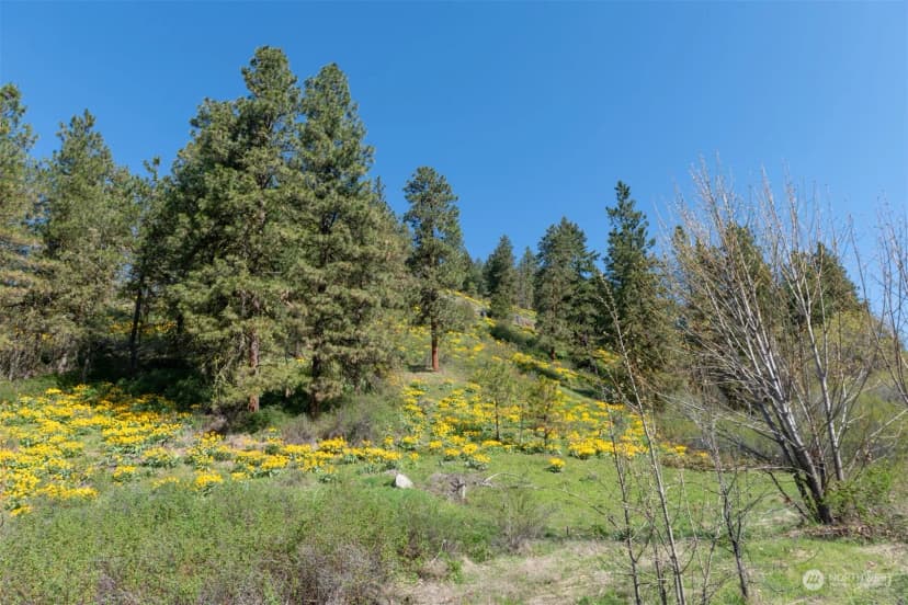 Property photo for 10690 Fox Road, Leavenworth photo 9