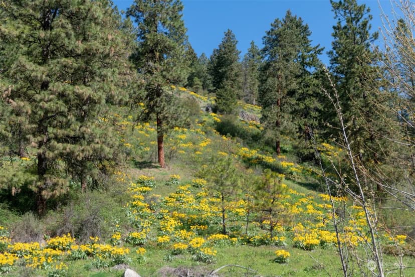 Property photo for 10690 Fox Road, Leavenworth photo 10