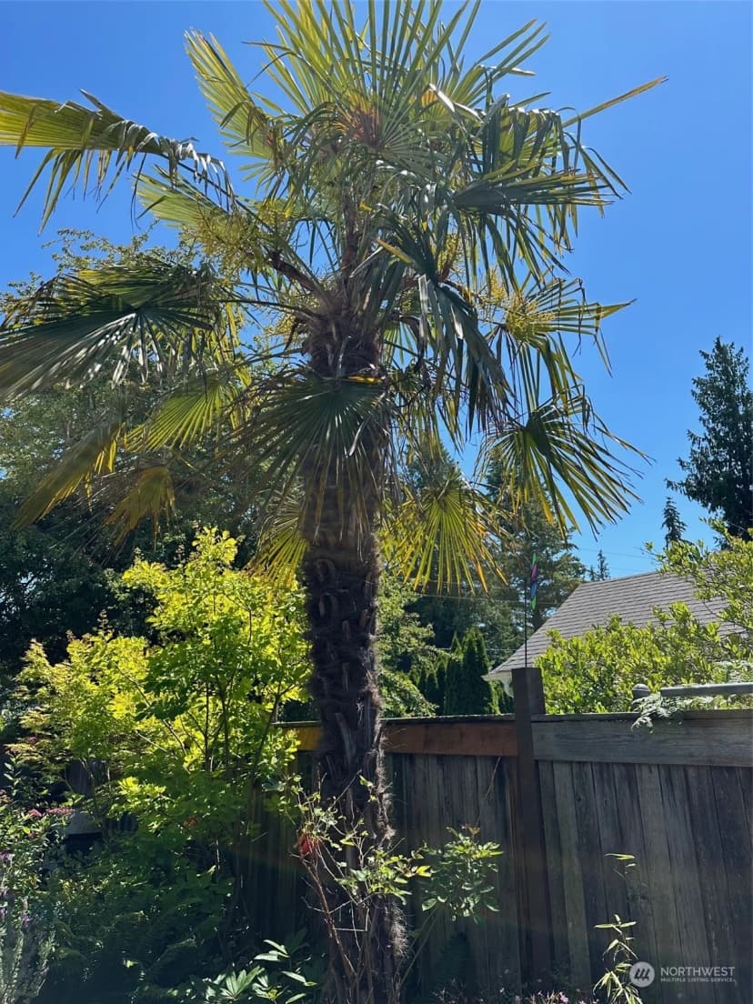 Property photo for 22024 88th Avenue W, Edmonds photo 11