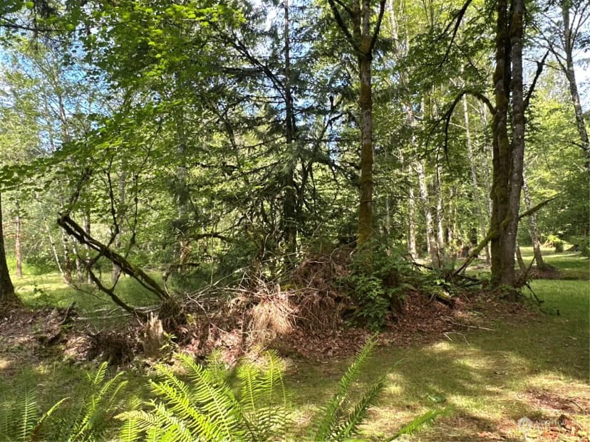 Property photo for 120 Xx 196th Avenue Ne, Redmond photo 12