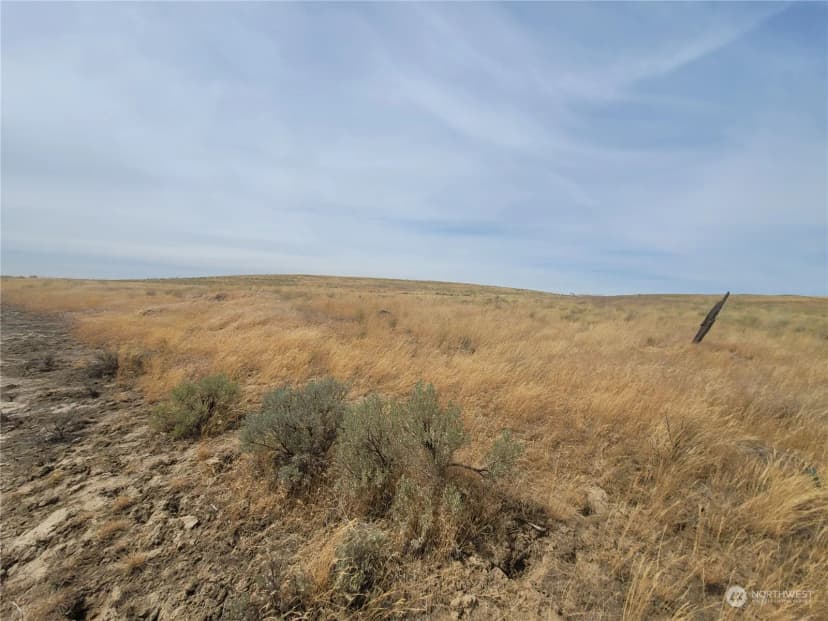Property photo for 0 Lot 38 Eagle Springs Ranch, Wilson Creek photo 23