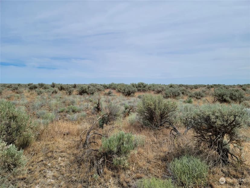 Property photo for 0 Lot 38 Eagle Springs Ranch, Wilson Creek photo 19