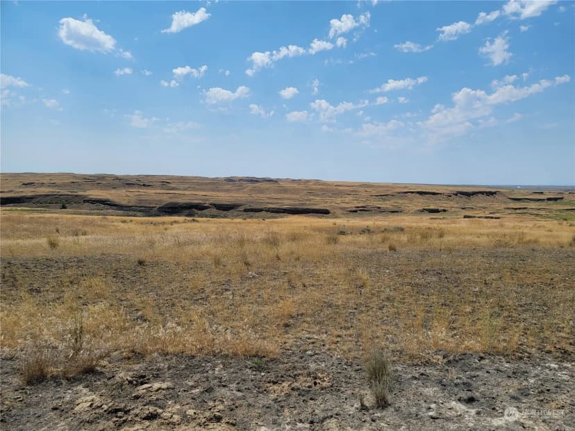 Property photo for 0 Lot 38 Eagle Springs Ranch, Wilson Creek photo 18