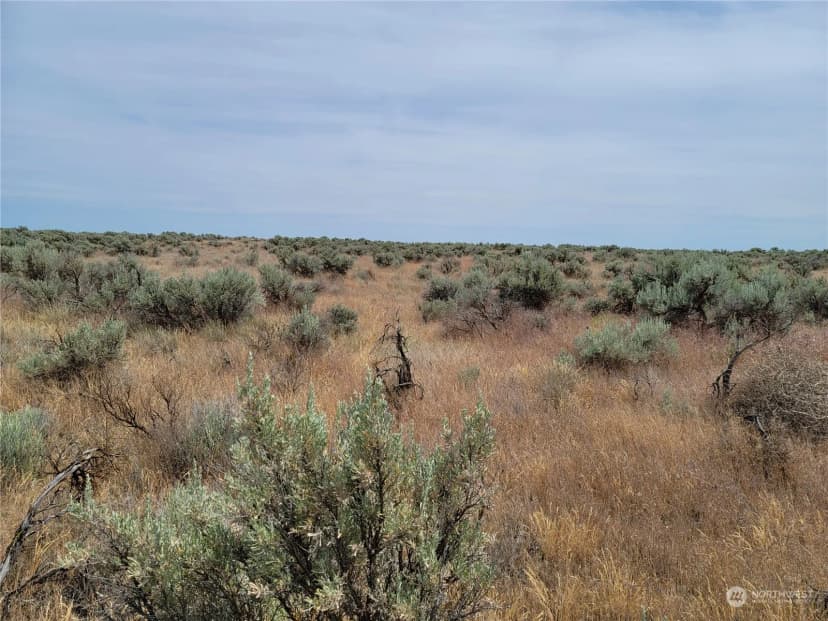 Property photo for 0 Lot 38 Eagle Springs Ranch, Wilson Creek photo 20