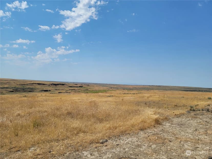 Property photo for 0 Lot 38 Eagle Springs Ranch, Wilson Creek photo 24