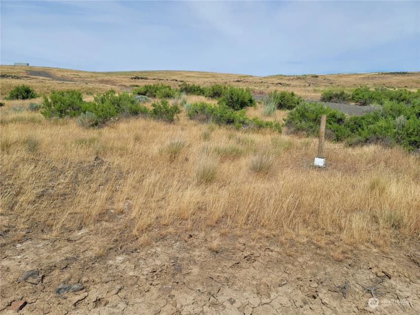 Property photo for 0 Lot 38 Eagle Springs Ranch, Wilson Creek photo 22