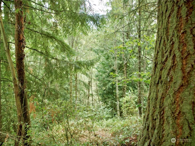 Property photo for 17233 State Route 410 W, Bonney Lake photo 10