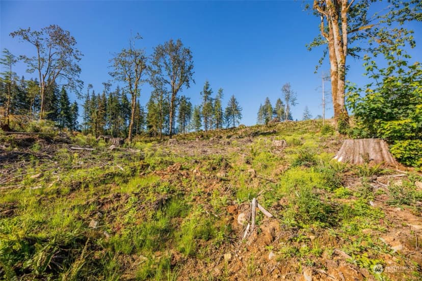 Property photo for 9005 Woods Creek Road, Monroe photo 15