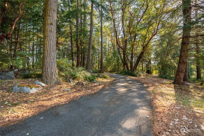 Property photo for 934 Mitchell Bay Road, Friday Harbor photo 31