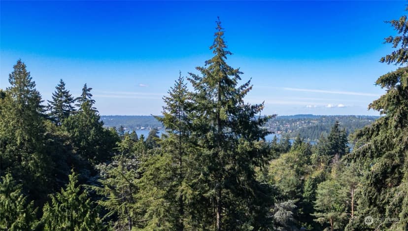Property photo for 4825 88th Avenue Se, Mercer Island photo 22