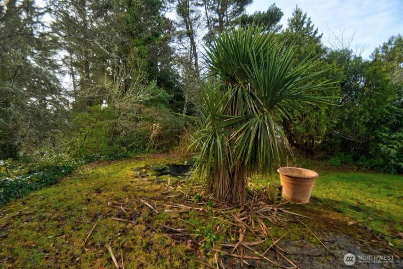 Property photo for 31000 J Place, Ocean Park photo 37