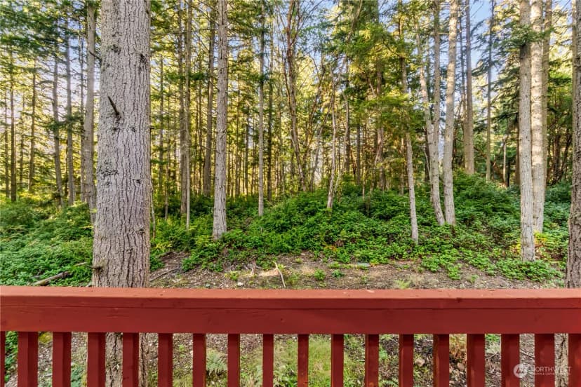 Property photo for 10514 Madrona Drive, Anderson Island photo 24