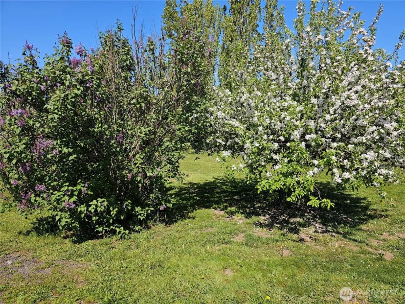 Property photo for 30 Alfredson Road, Oakville photo 39