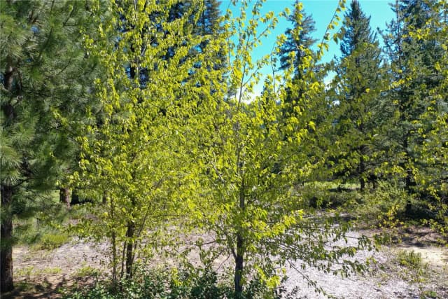 Property photo for 20685 Miracle Mile, Leavenworth photo 4