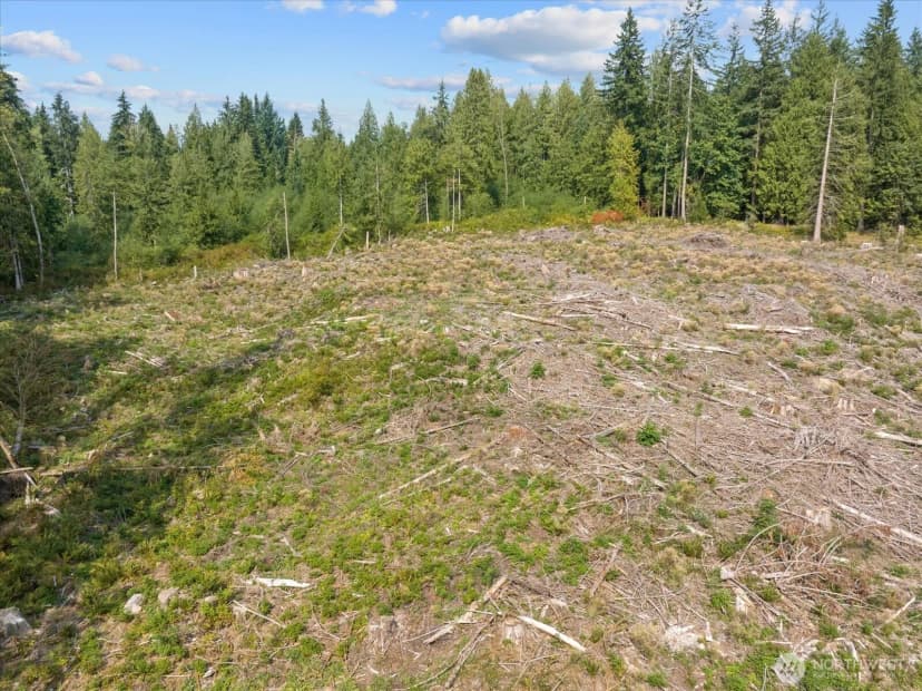 Property photo for 0 288th Street Nw, Stanwood photo 36