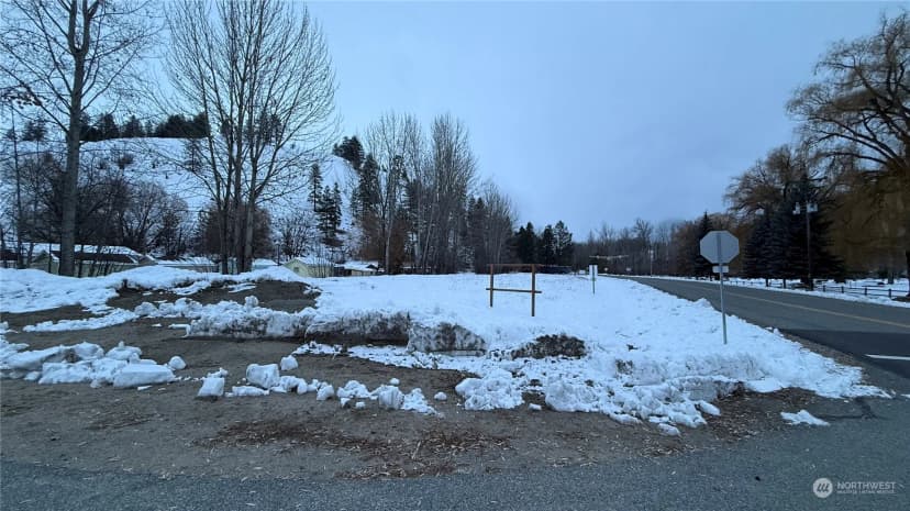 Property photo for 0 Xxx N Main Street, Conconully photo 29