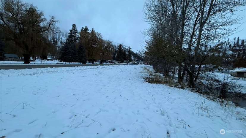 Property photo for 0 Xxx N Main Street, Conconully photo 23