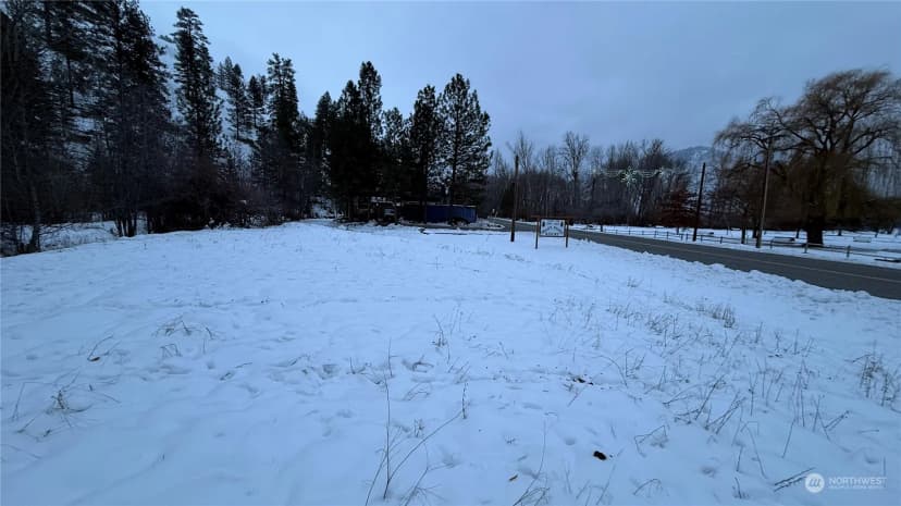 Property photo for 0 Xxx N Main Street, Conconully photo 27