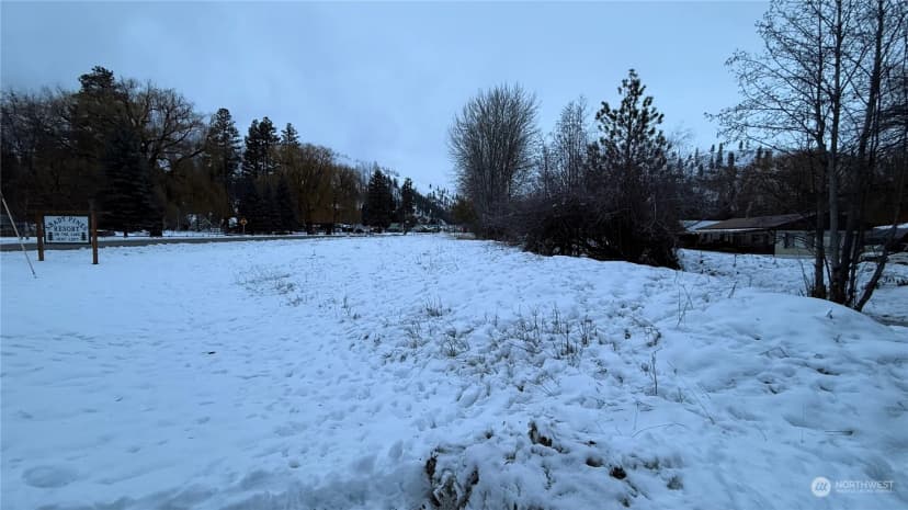 Property photo for 0 Xxx N Main Street, Conconully photo 19