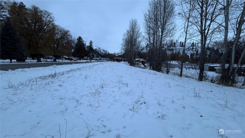 Property photo for 0 Xxx N Main Street, Conconully photo 25
