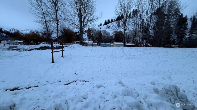 Property photo for 0 Xxx N Main Street, Conconully photo 30