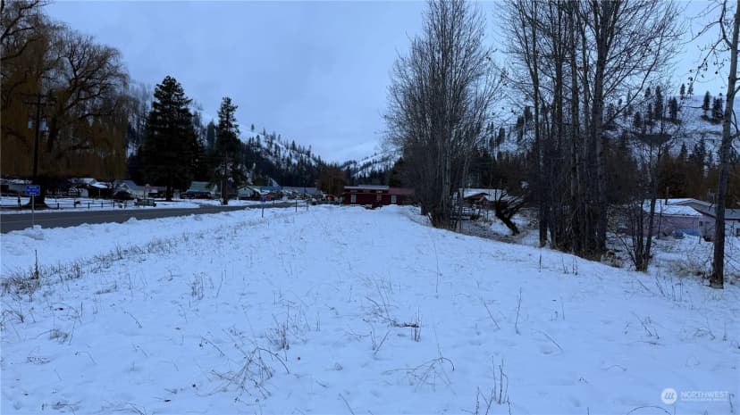 Property photo for 0 Xxx N Main Street, Conconully photo 26