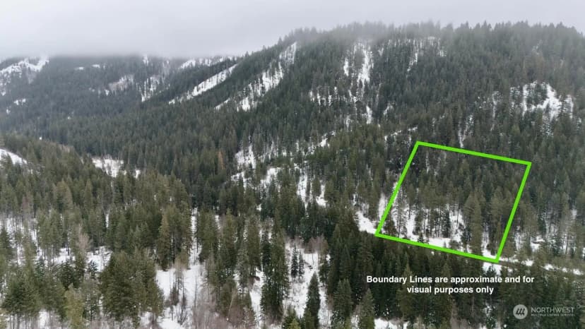 Property photo for 0 Us 2, Lake Wenatchee photo 19