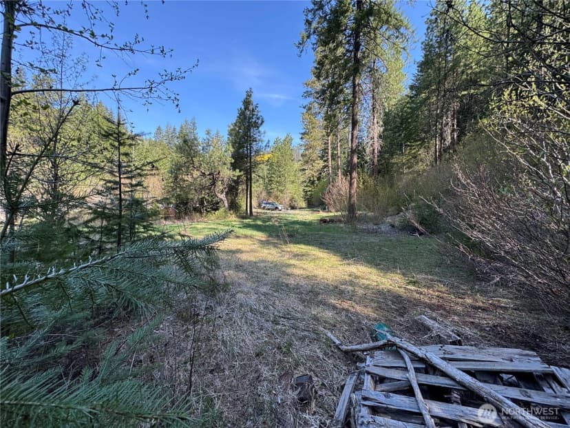 Property photo for 0 Us 2, Lake Wenatchee photo 6