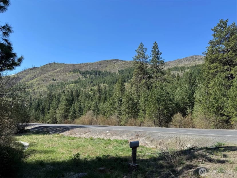 Property photo for 0 Us 2, Lake Wenatchee photo 12