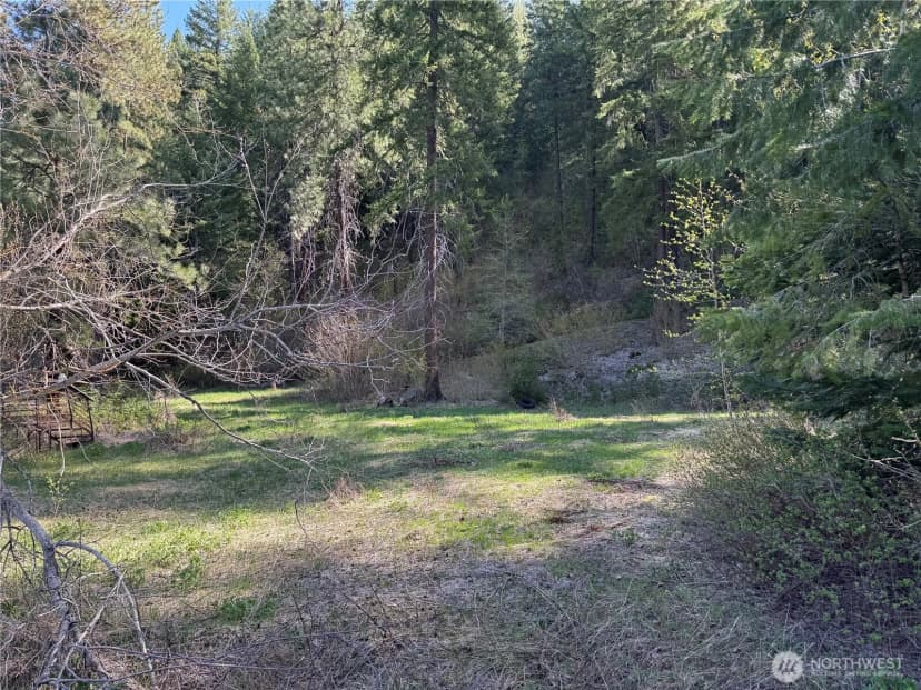 Property photo for 0 Us 2, Lake Wenatchee photo 8