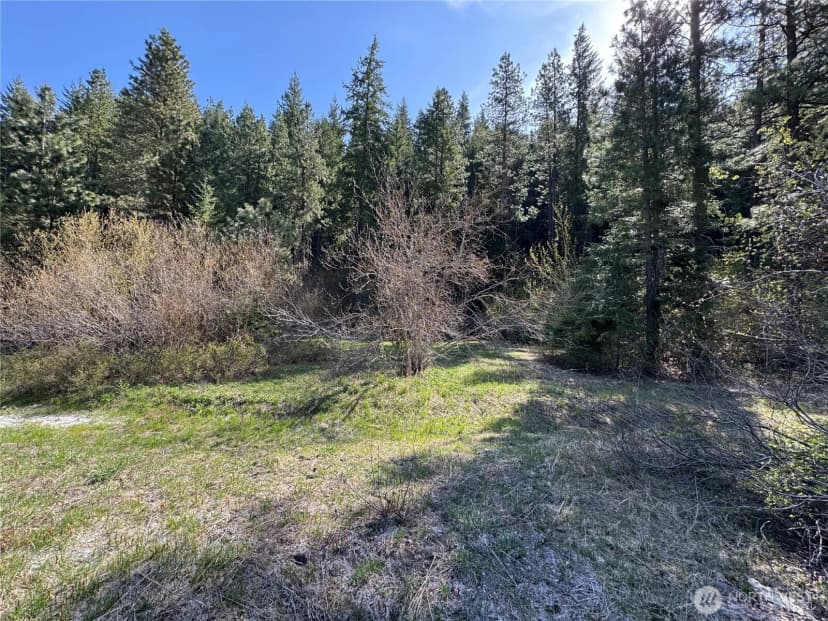 Property photo for 0 Us 2, Lake Wenatchee photo 14