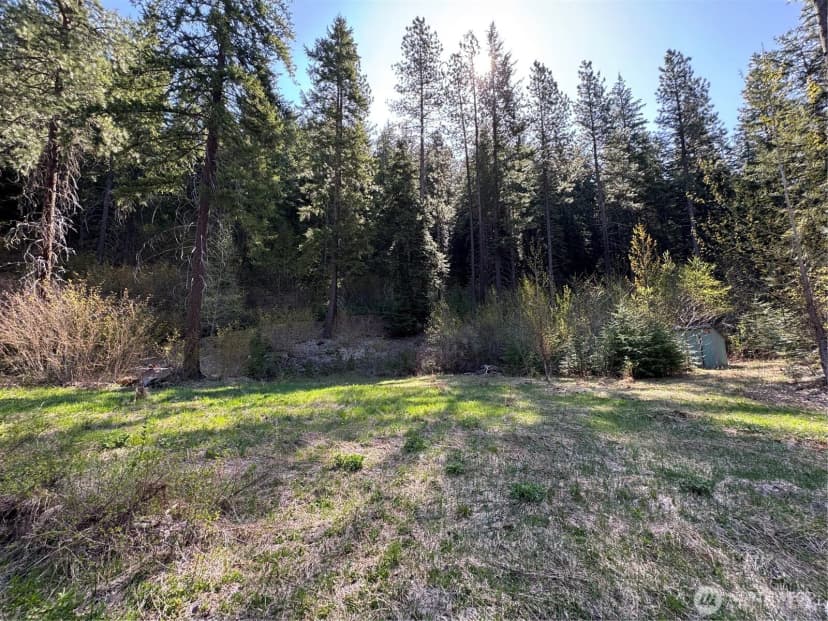 Property photo for 0 Us 2, Lake Wenatchee photo 9