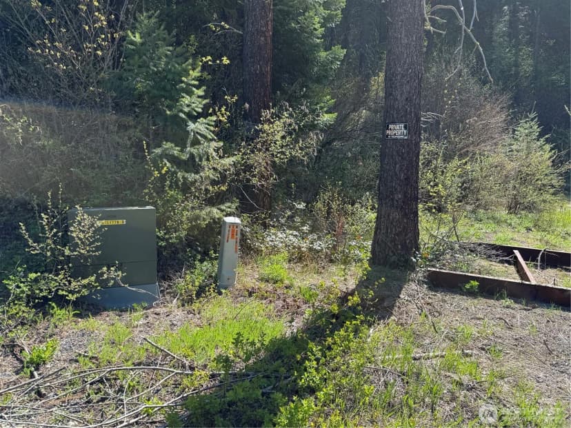 Property photo for 0 Us 2, Lake Wenatchee photo 17