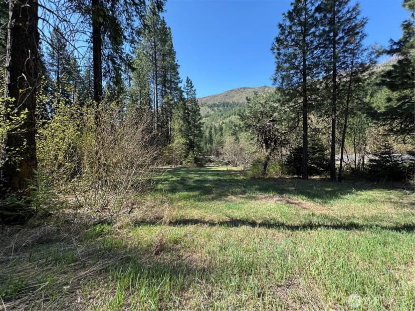 Property photo for 0 Us 2, Lake Wenatchee