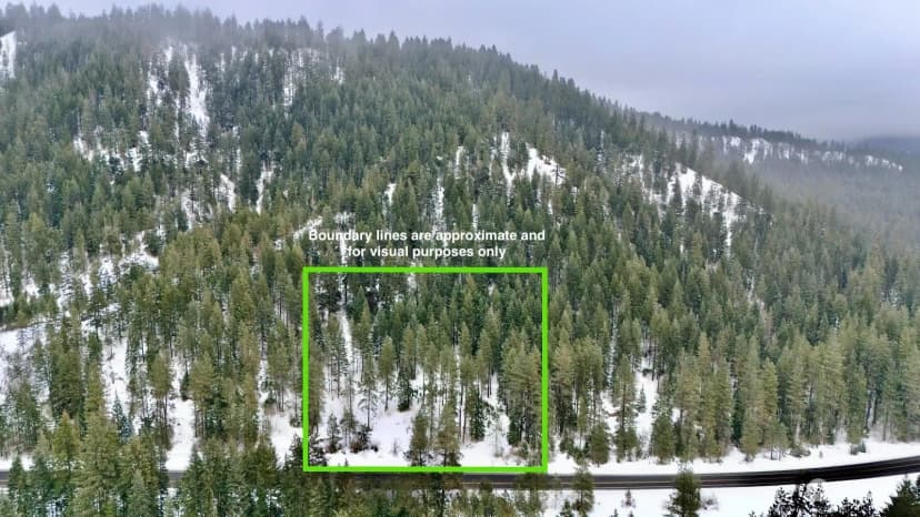 Property photo for 0 Us 2, Lake Wenatchee photo 18