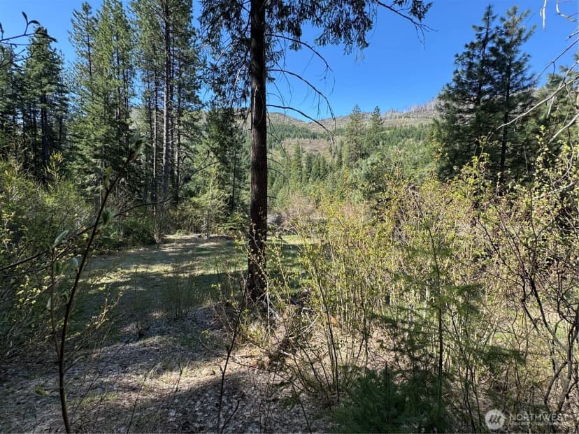Property photo for 0 Us 2, Lake Wenatchee photo 11