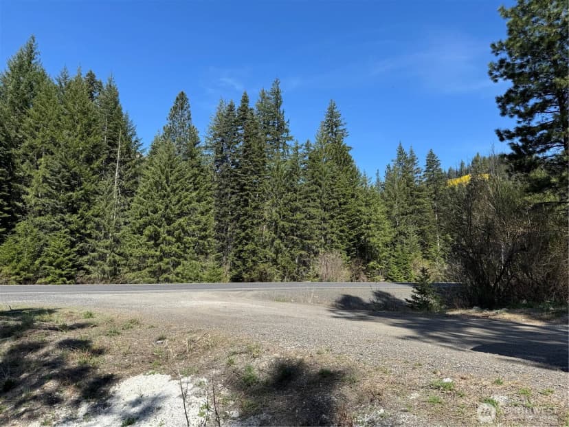 Property photo for 0 Us 2, Lake Wenatchee photo 13
