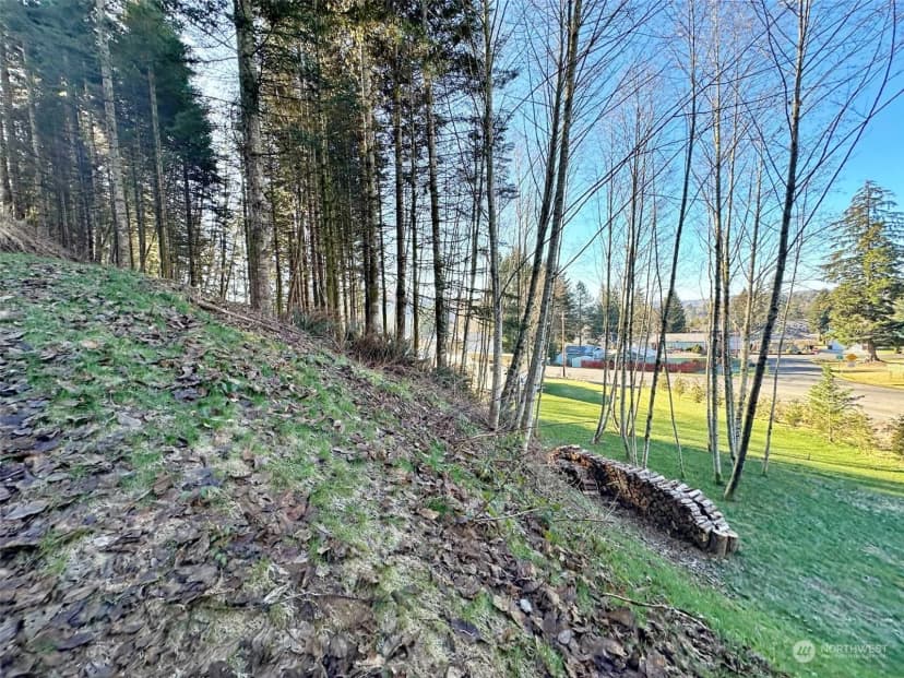 Property photo for 486 Sr 122 #122, Mossyrock photo 29