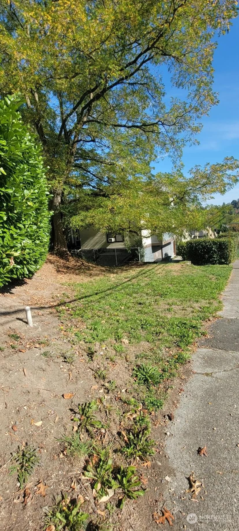 Property photo for 2602 E Thomas Street, Seattle photo 9