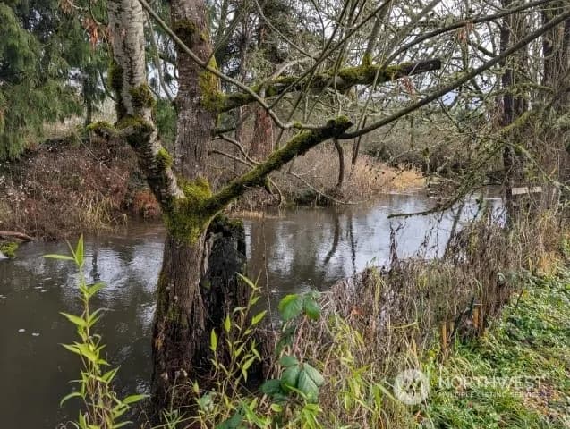 Property photo for 1477 State Route 6, Chehalis photo 28