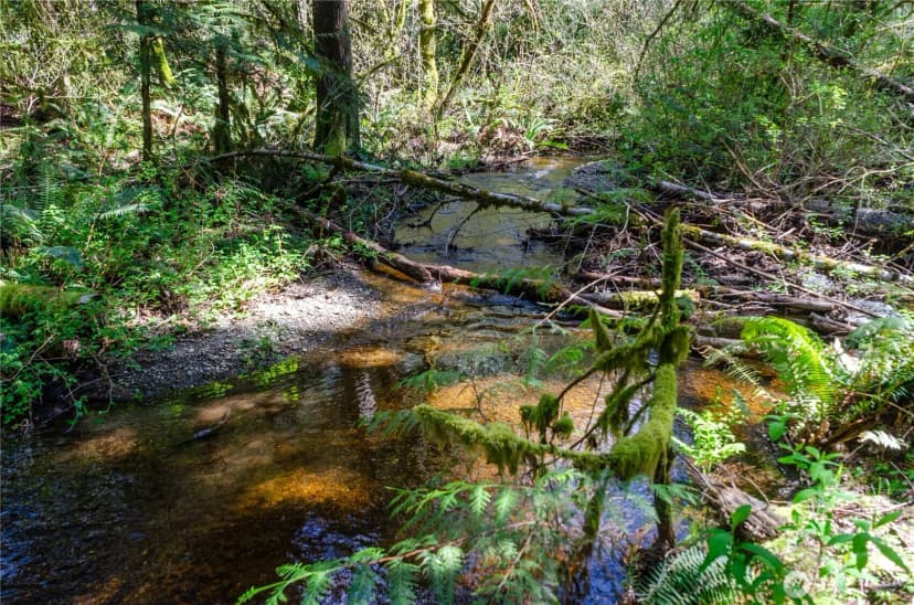 Property photo for 1 Xxx 144th Street Nw, Gig Harbor photo 24